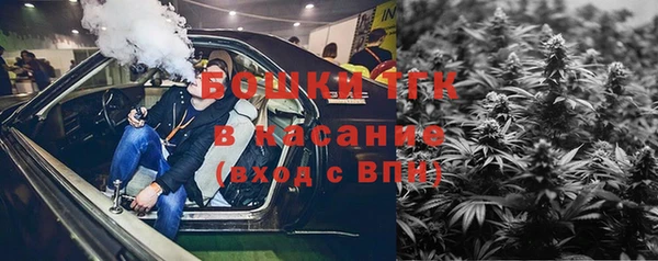 хмурый Арсеньев