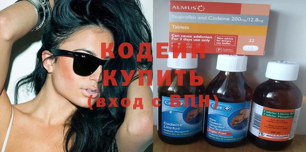 хмурый Арсеньев