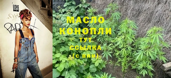 хмурый Арсеньев