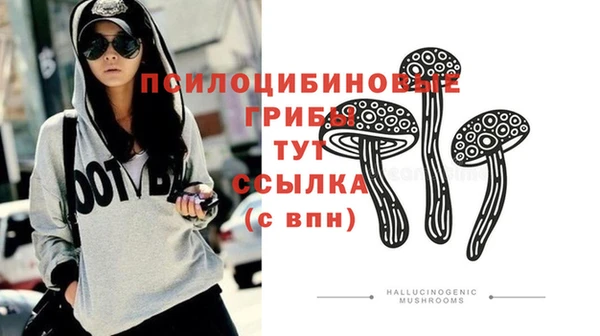 хмурый Арсеньев