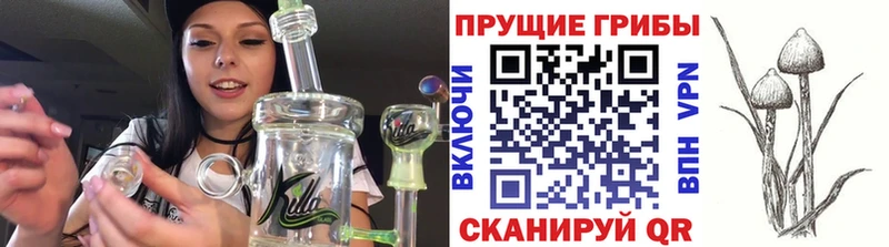 Псилоцибиновые грибы прущие грибы  цены   Омутнинск 